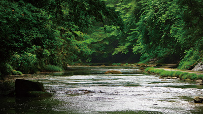 南総の森のイメージ写真